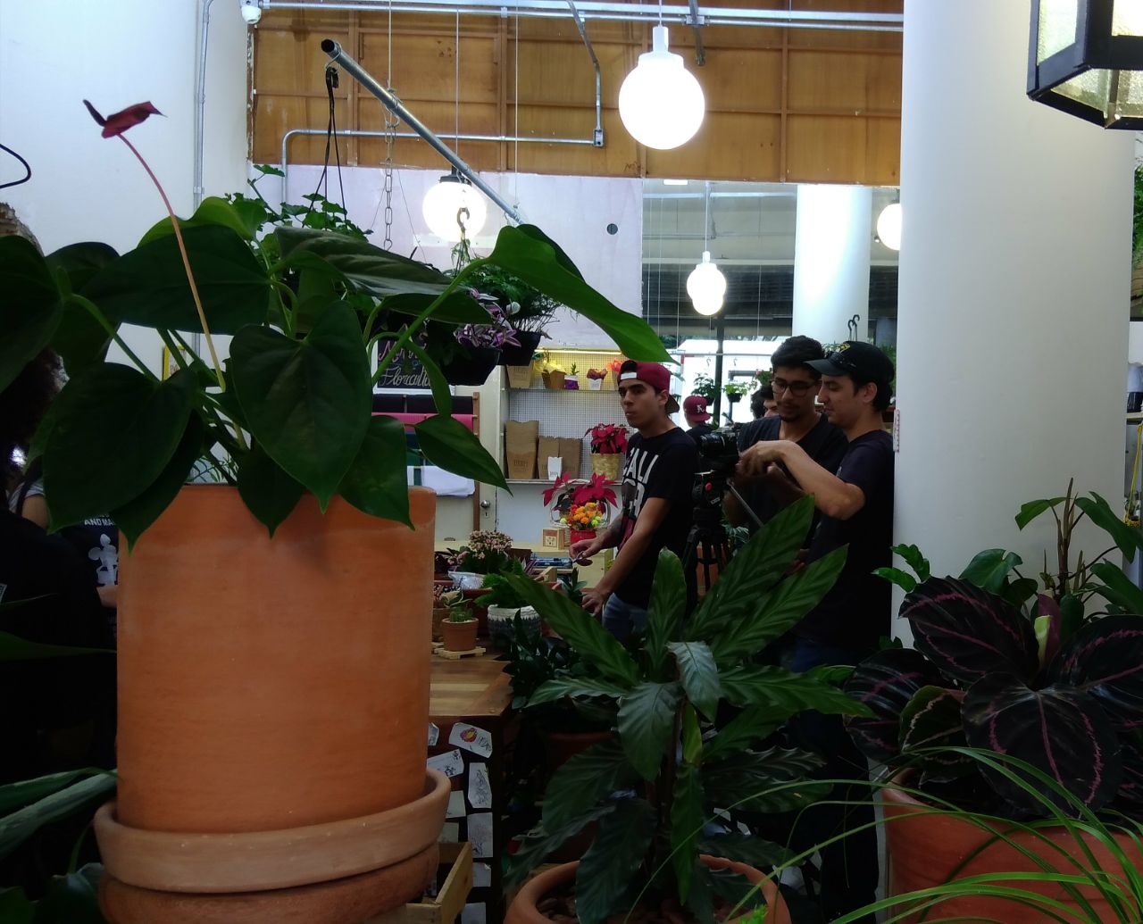 WhatsApp Image 2018-01-14 at 18.13.29.jpeg